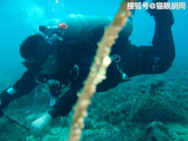 捉迷藏2